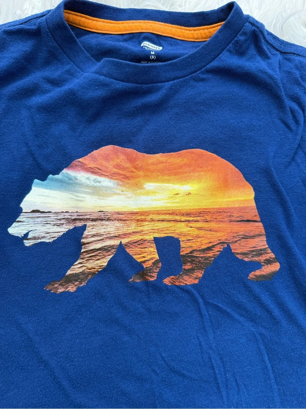 Kids Short Sleeve Graphic Tee - Blue Bear Sunset and Tiger